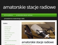 Ham Radio/Clubs/Technical Specialty