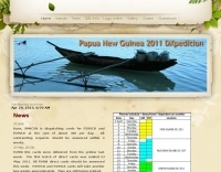 P29VCX Web Site