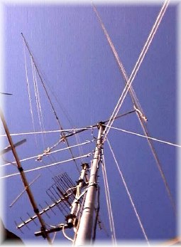 2 element Quad antenna