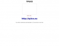 European World Wide Award-Council of Europe Award