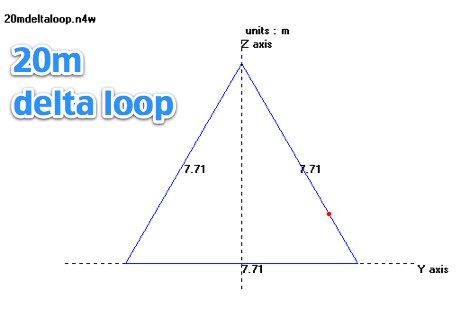 20m delta loop