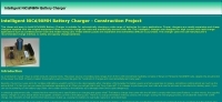 NiCd Battery Charger Picture