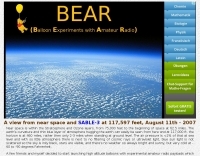BEAR Picture