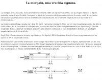 Morgain antenna by I1CRA Picture