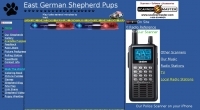 Bay, Saginaw and Tuscola counties live scanner