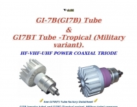 LOOK 2 x GI-7B= GI7B = GI-7BT RUSSIAN MICROWAVE HF VHF UHF POWER TUBES 350W 