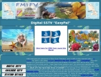 FM1FV Picture