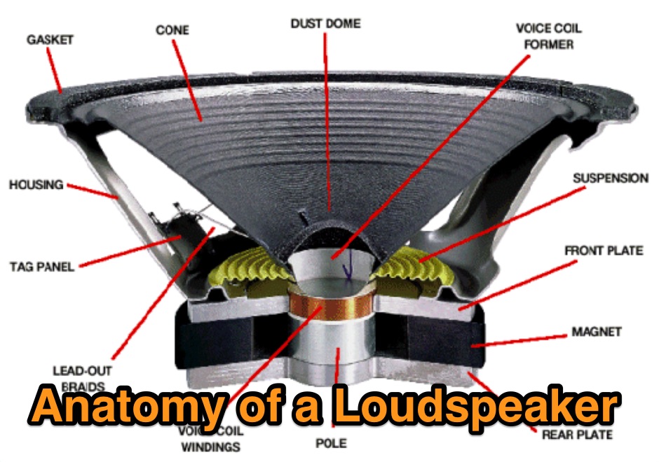DXZone Anatomy of a Loudspeaker