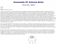 Homemade HF Antenna Balun Picture