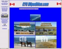 CY0 DXpedition 2011 Picture