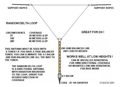 Random lenght Delta Loop Antenna Picture