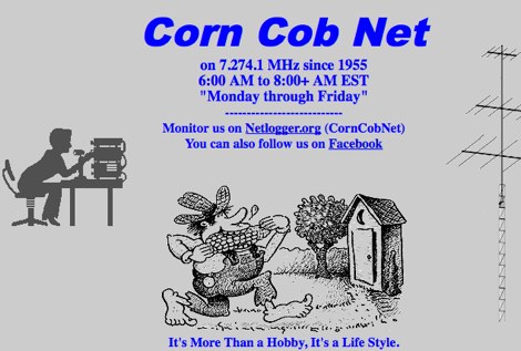 Corn Cob Net Picture