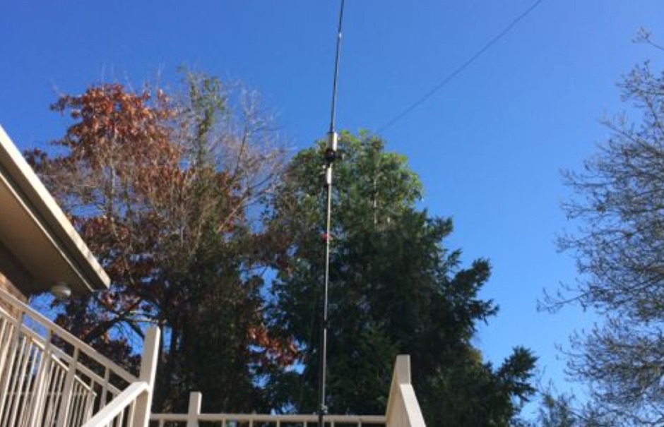 80m vertical buddistick 