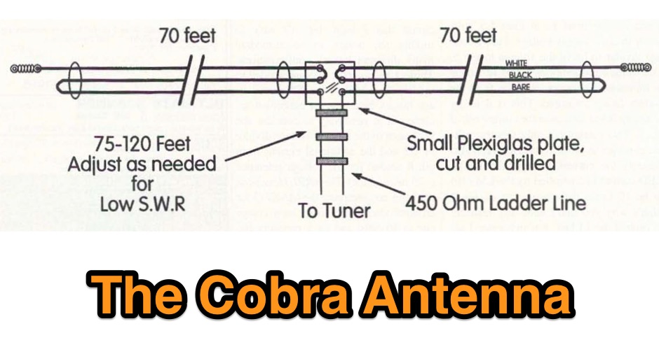 DXZone The Cobra Antenna