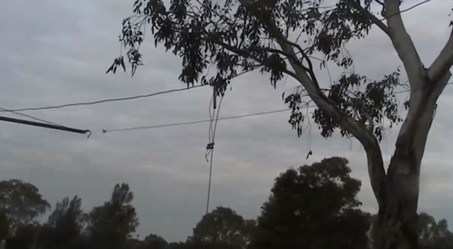 2 Element Wire Yagi for 10 meters band Picture