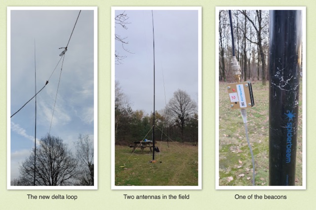 Delta Loop vs End Fed Half Wave on 20m 